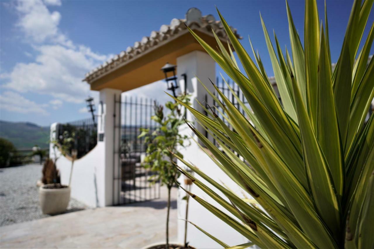 Bed and Breakfast El Amparo Alhama de Granada Exterior foto
